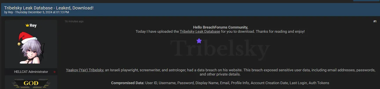 Rey Claims to have Leaked the Data of Yair Tribalsk