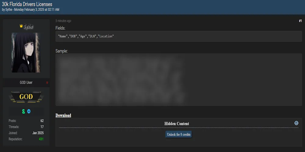 Sythe Allegedly Leaked Drivers Licenses Data from Florida