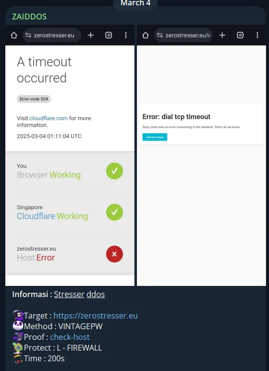 ZAIDDOS Targeted the Website of ZeroStresser