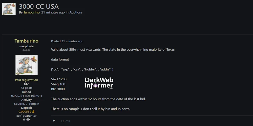 Alleged Sale of 3,000 Credit Card Records from the USA
