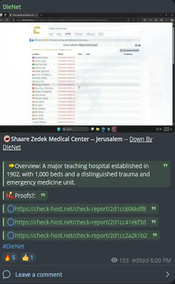 DieNet Targeted the Website of Shaare Zedek Medical Center