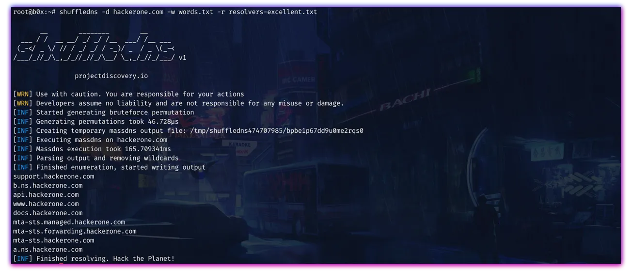shuffleDNS: Fast Subdomain Enumeration & Resolution with Wildcard Handling